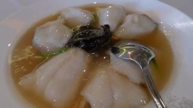美食精选 醋溜鱼片 香干马兰头 大蒜炒腊肉 素鸡烩豆角的做法 食材