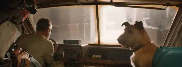 治愈|不愧是汤姆·汉克斯，撑起了人、狗、机器的末日旅程