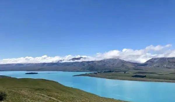 新西兰大学排行榜_2022新西兰世界大学排名