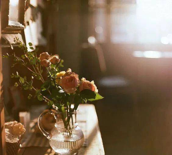 技能|最好的休息,是重燃生活的热情。这些小事,让假期更美好