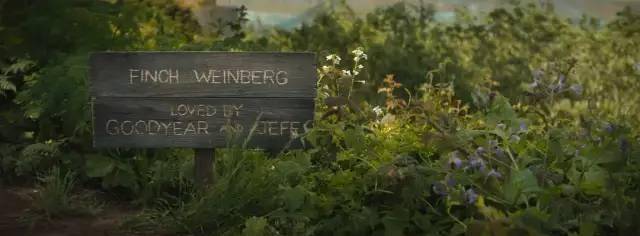 治愈|不愧是汤姆·汉克斯,撑起了人、狗、机器的末日旅程