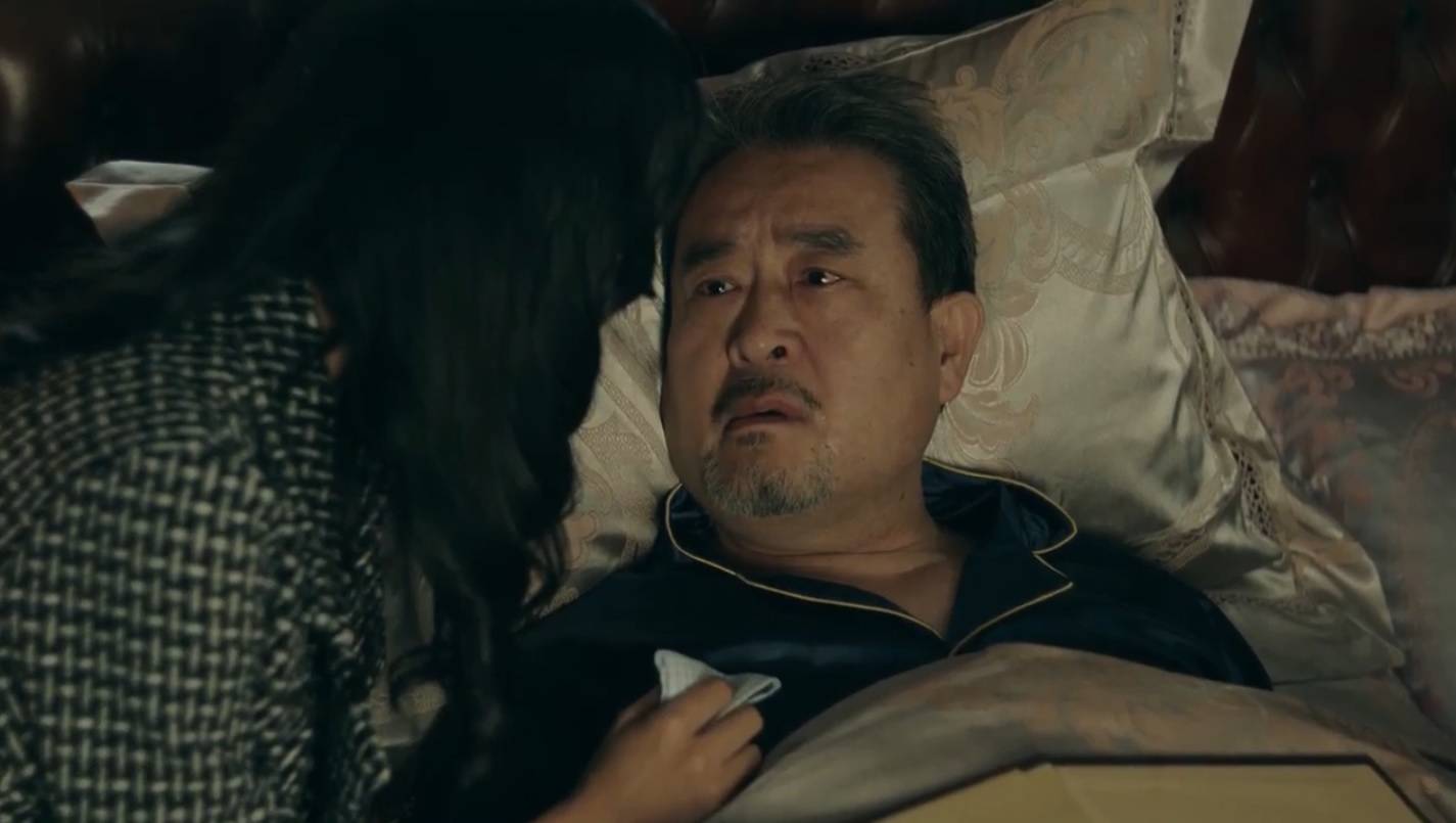 苏鸿|电视剧《前行者》大结局：马天目携手江韵清，唐贤平解救范雅萝