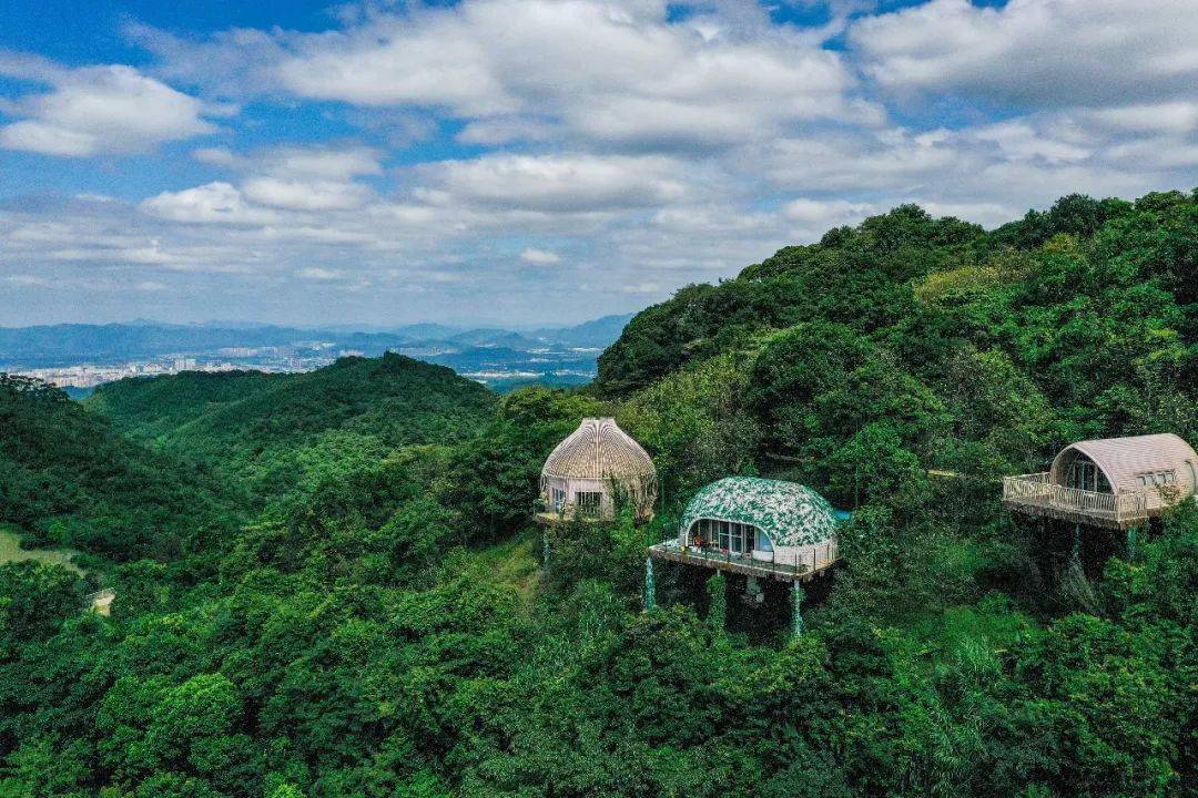 广州客天下|与森林为伴,带娃住进轻奢民宿,在666米