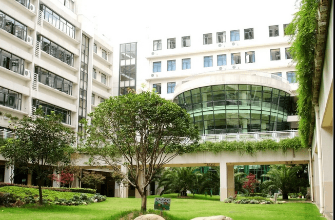 示范园|15组双学区黄金搭档!幼儿园+小学双学区大盘点!