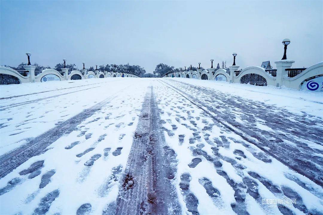 暂停|应对极端天气确保安全，太阳岛风景区暂停开放