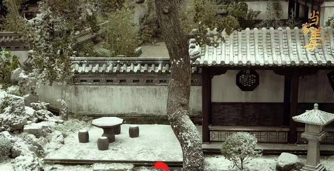 蒋勤勤|【当家主母】丨又是一部大女主？蒋勤勤出马吊打小花甜剧