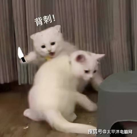路由器|Intel带来极致连接性，WiFi网络的发展历程