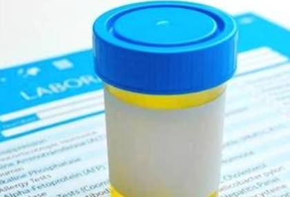 肾脏|尿蛋白、水肿、贫血，哪个容易引起“肾衰”呢？早了解早预防