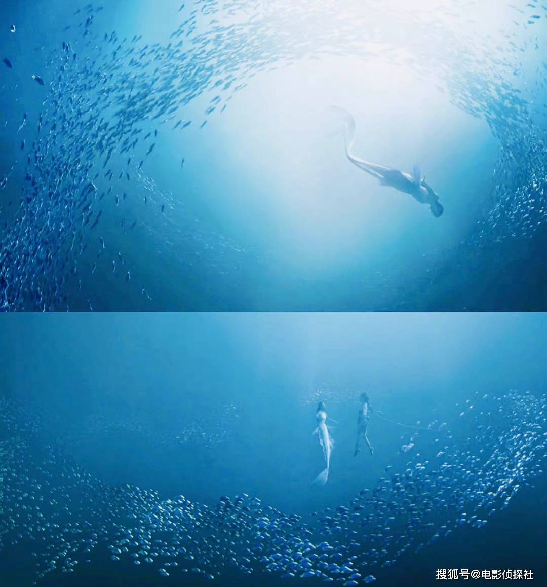 陈伟霆|《斛珠夫人》刚开播一天,豆瓣口碑就爆了,清一色五星好评