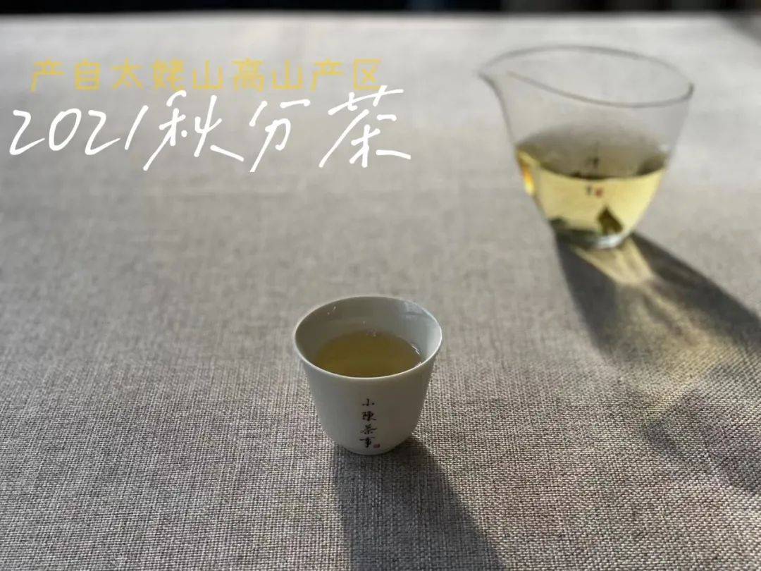 知识科普|为什么说白茶越陈越香，越老越值钱？是销售套路吗？