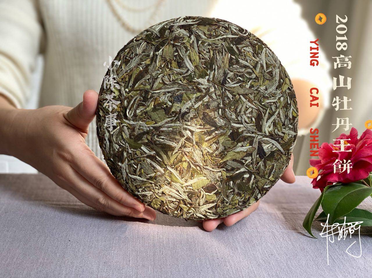密封|家庭存白茶的4大要点，照着村姑陈的攻略做就行，白茶越存越香