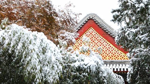 颐和园冬趣 | 一场雪后，超萌小雪人上线，心都要被萌化了