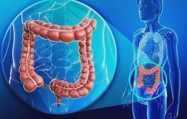 红细胞|1药网科普：维生素，你吃对了吗？