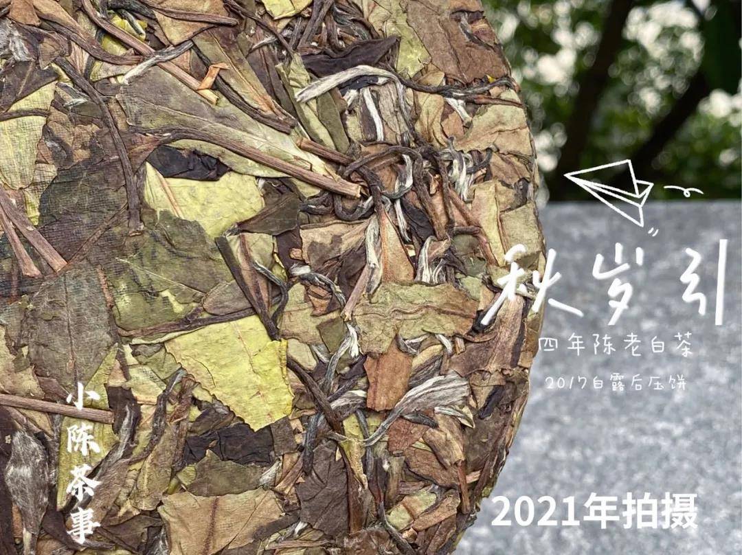 密封|家庭存白茶的4大要点，照着村姑陈的攻略做就行，白茶越存越香
