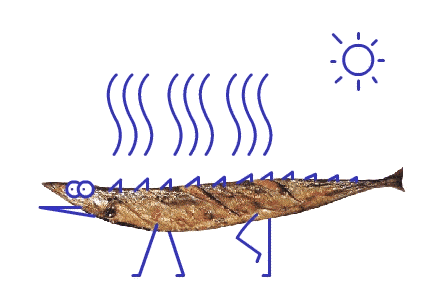 物质|“甲醛带鱼”是这般模样，要学会辨认！挑选带鱼前需明白以下内容