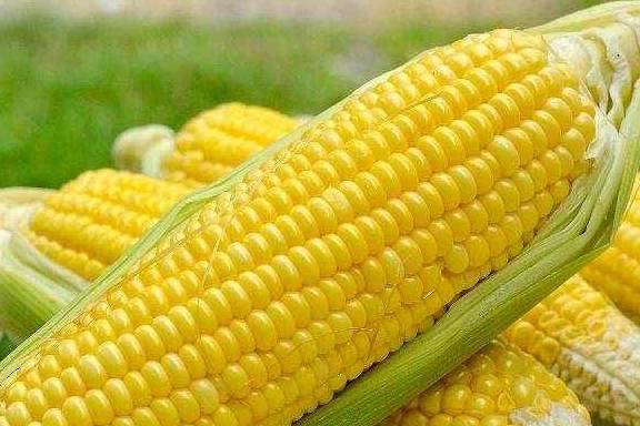 状况|女人起床后若有这2种表现,或许会悄悄“长胖”,不妨一看!