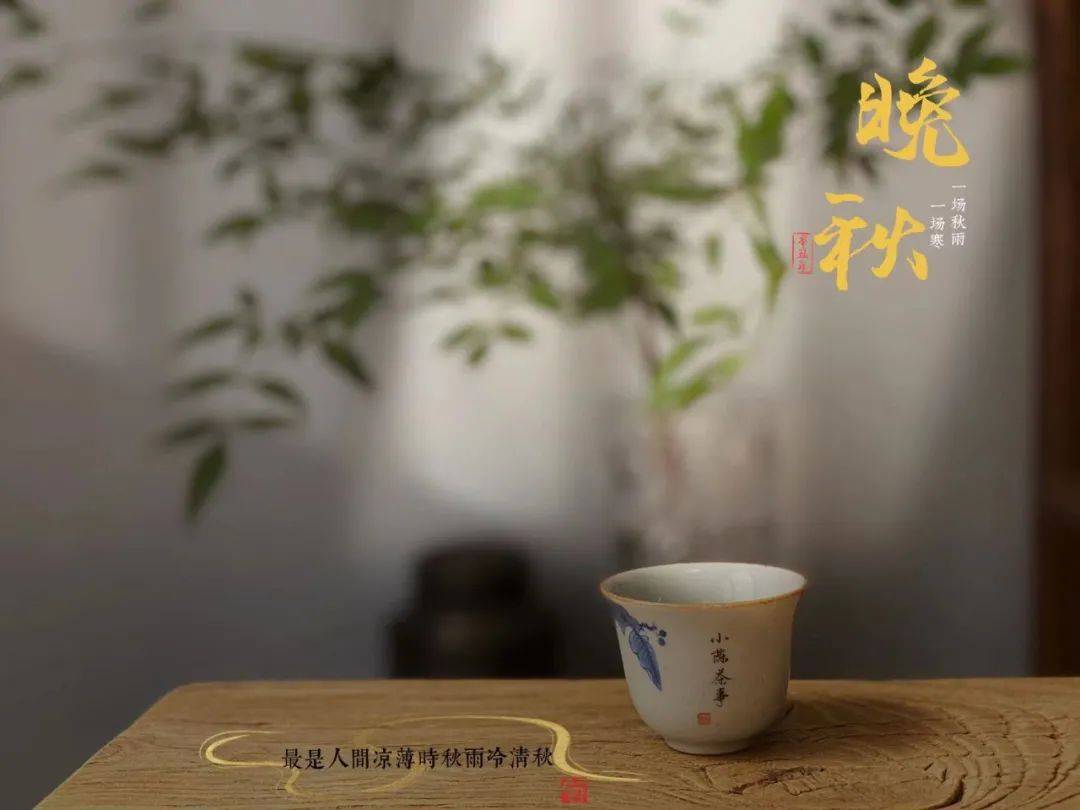 因为|酸味比苦味更过分,在白茶和红茶中喝到,赶紧舍弃吧!