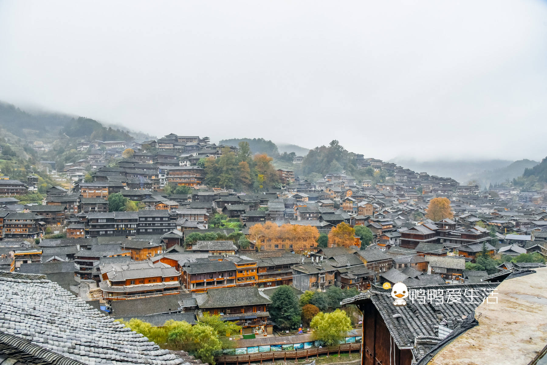 全世界|全世界最大苗族聚居村寨，余秋雨形容“以美丽回答一切”，有特色