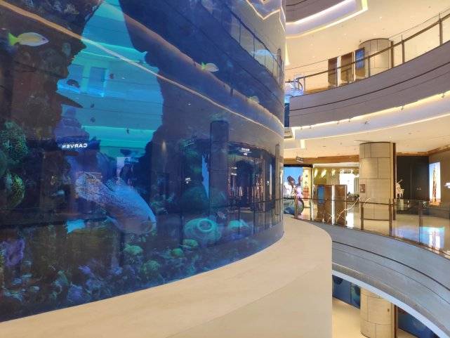 重庆一商场耗资2亿打造亚洲最大“海底世界”，高8.3米容纳1500吨海水
