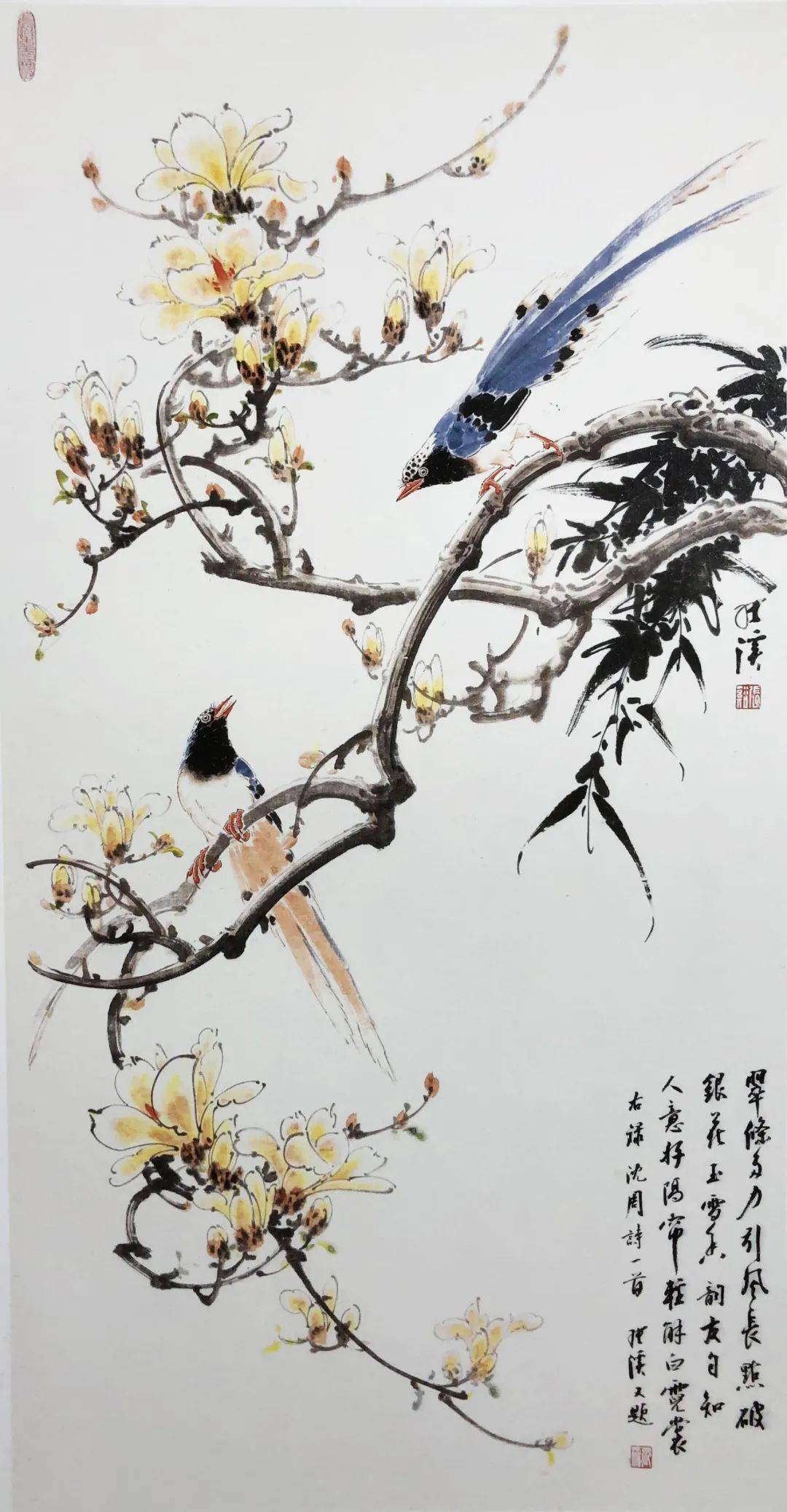 妙造自然巧得天趣张秋波小写意花鸟画艺术品鉴