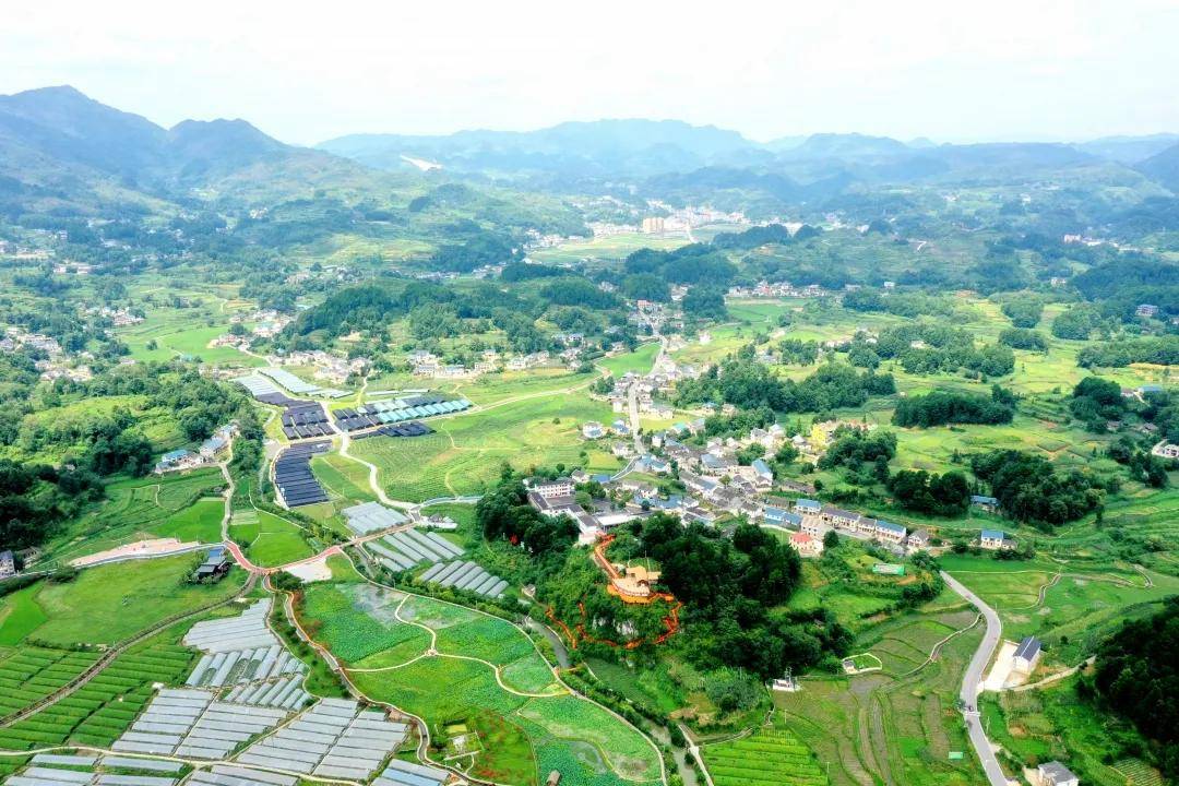 在推进乡村振兴和农业现代化发展中,红花岗区积极规