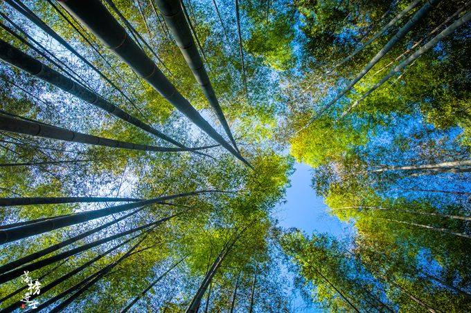 探秘新安源旅游风景道，千岛湖水的正源头就在这里