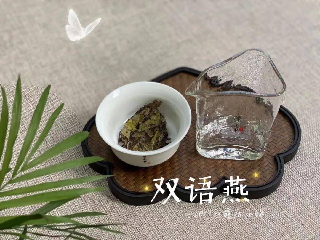 知识科普|同是茶具，为什么盖碗和紫砂壶泡白茶，滋味差别这么大？