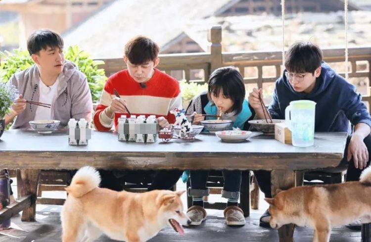 官宣|彭昱畅新节目官宣定档，《跑男》成员加盟，阵容丝毫不输《向往》