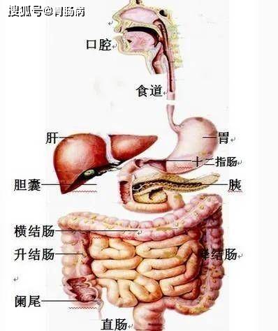 做了20個胃鏡,就發現2例早癌,2例癌前——胃癌上身,往往悄無聲息!