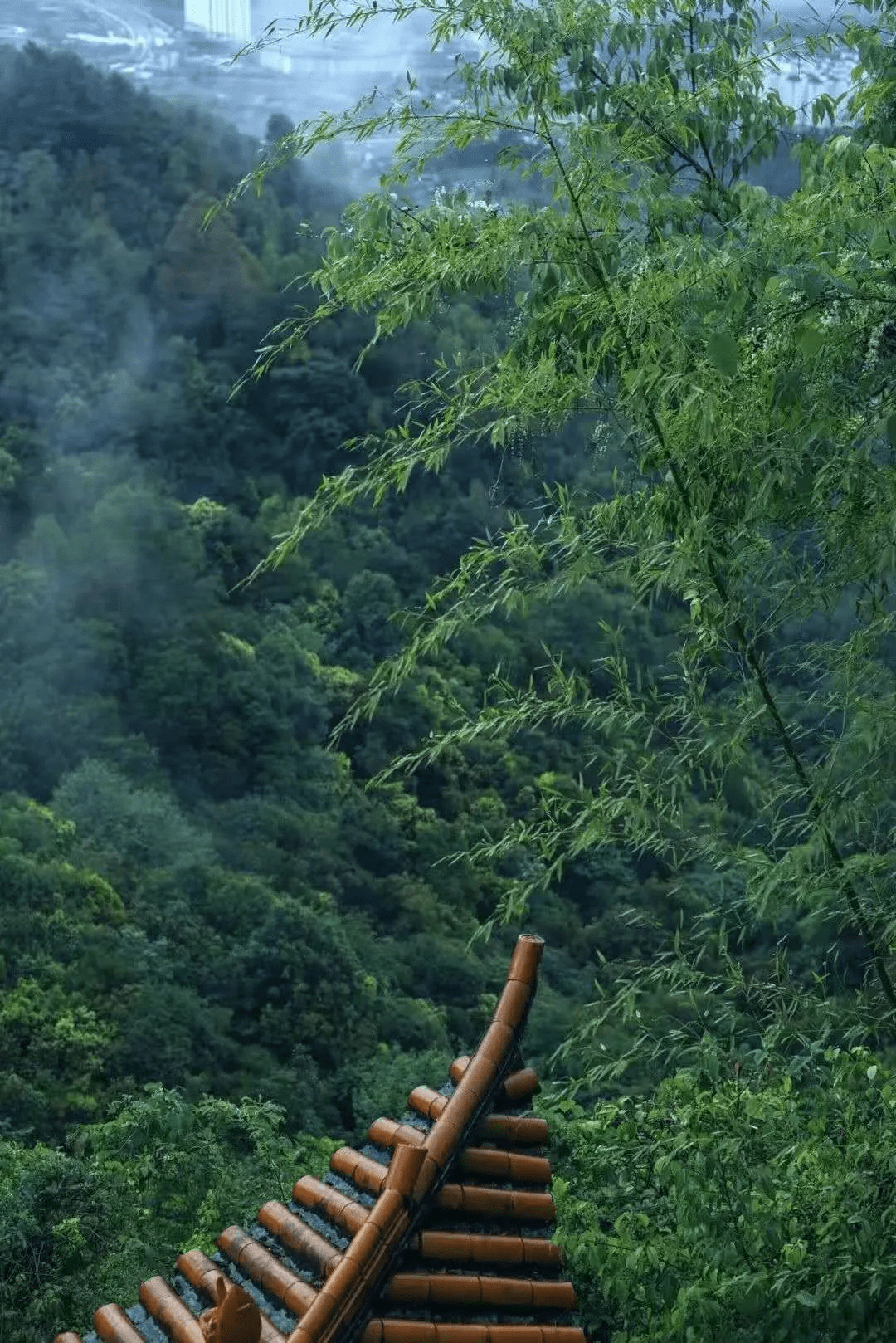 山野|走过很多城市，最爱的还是腾冲秋之美