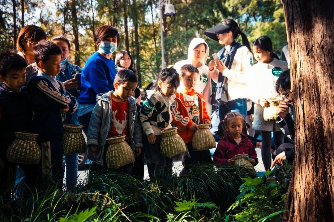 小小神农跟着大地之野一起去西湖群山寻找古代医学家们的足迹