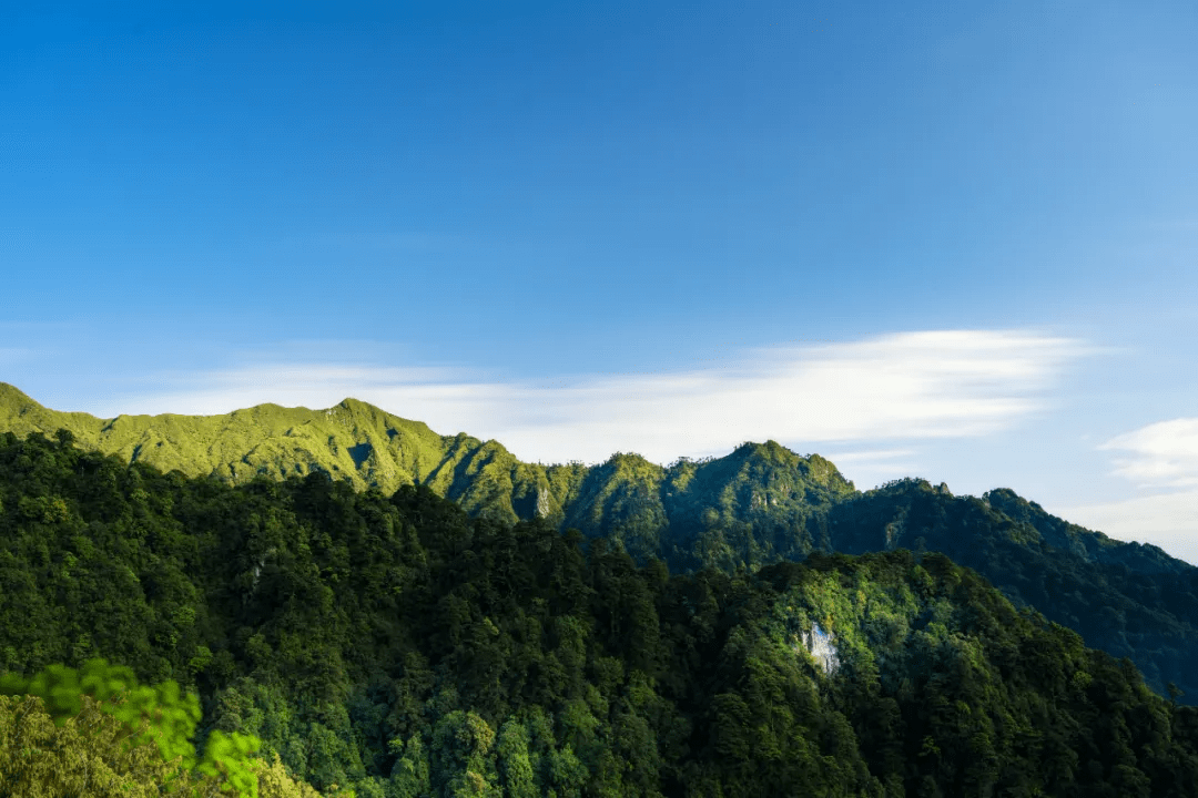 山野|走过很多城市，最爱的还是腾冲秋之美