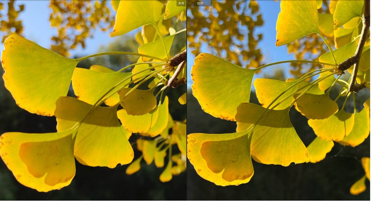 iPhone 13影像系统解析，iPhone 13 Pro Max与X70 Pro+影像对比