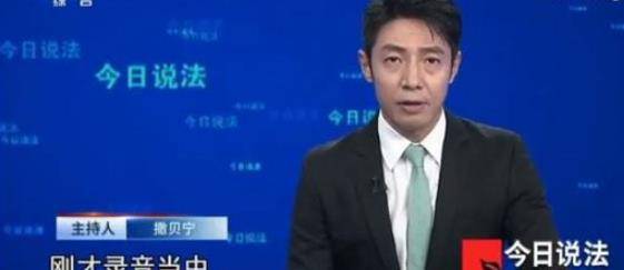 现实|撒贝宁回归今日说法,观众的反馈好现实,芳心纵心犯果真名不虚传