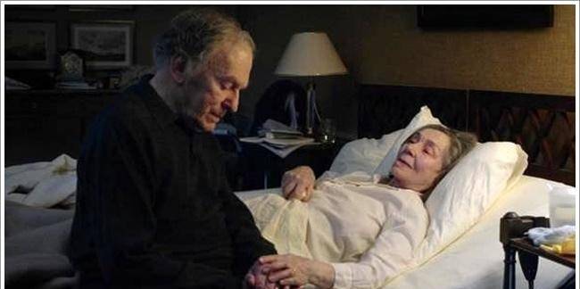 鸽子|电影《爱》带你洞见爱情最后的样子