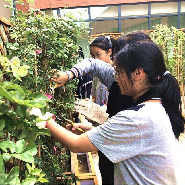 中小学|航天基地各中小学多方面发力 落实“双减”相关政策