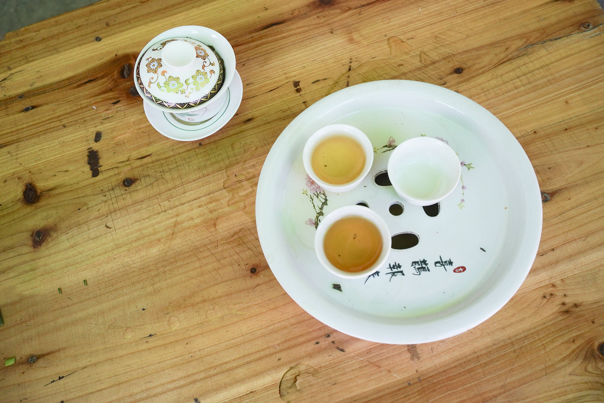 原创一棵700多年古茶树成镇馆之宝，潮州工夫茶才是日本煎茶道的鼻祖