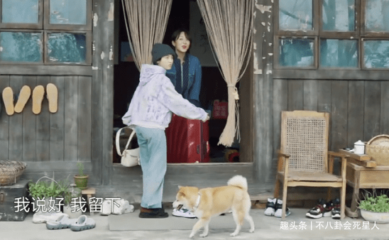 现实|杨紫一人录三期，11个小艺人录一期，《向往》揭露红与不红的现实