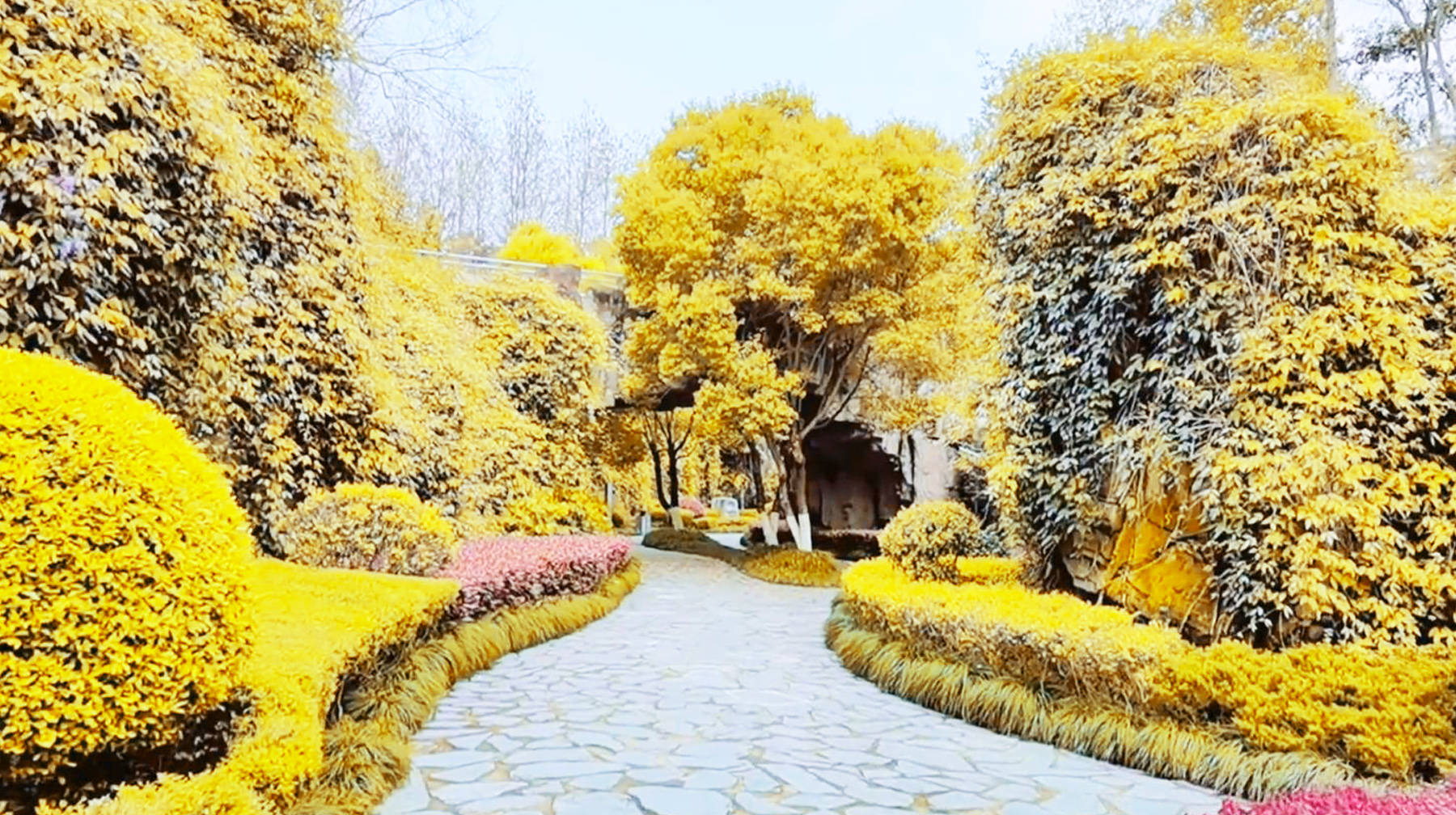 在武汉闹市地带发现一座公园，铺满山石灌木，环境像是迷宫探险