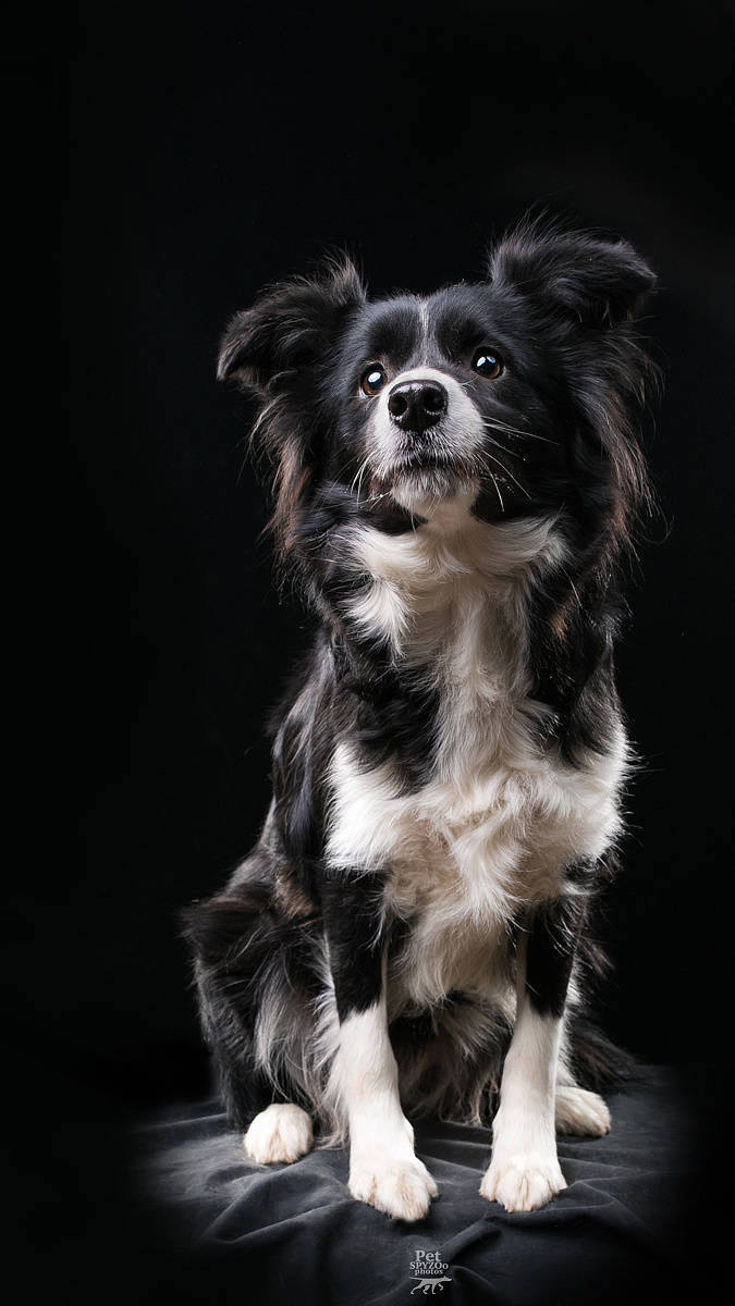 爱情正是一个将一对陌生人变成情侣,又将一对情侣变成陌生人的游戏.