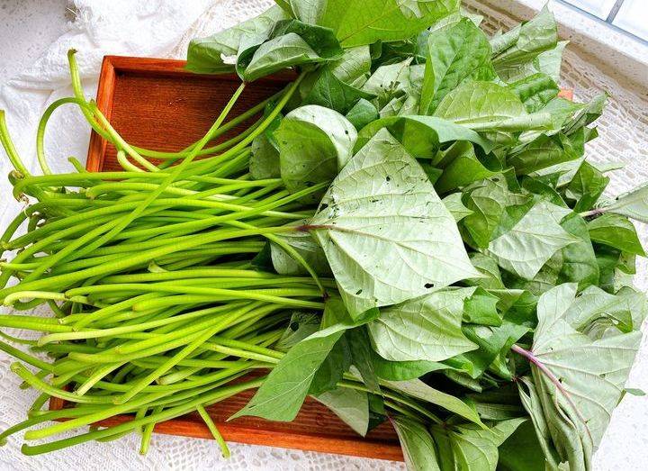 原创一个不起眼的红薯藤竟有如此功效好吃爽口吃了停不下来