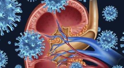 严重|为什么有的肾病发展到尿毒症才发现?可能忽视这个细节,不妨看看