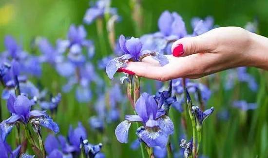 生活|20个糖尿病人中，竟然只有1位血糖控制的好，为啥？