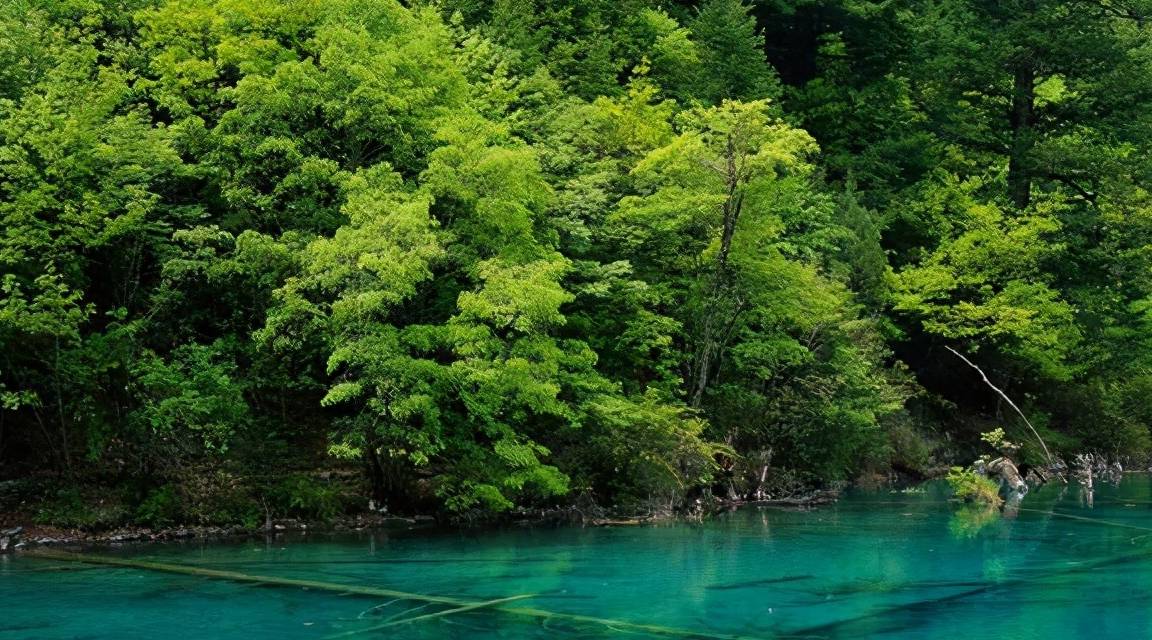 四川这一景区，曾经人山人海，如今却安静无比,原因让你想不到