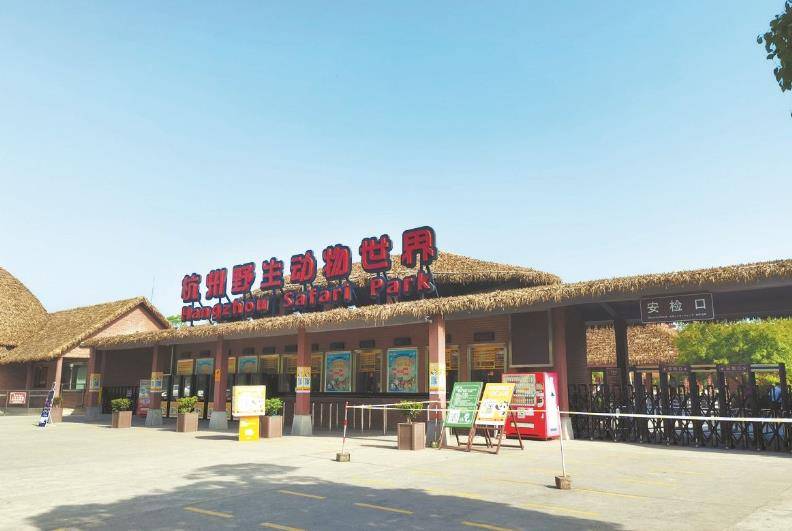 杭州 瞒豹 案6人获刑 曾有村民与豹子面对面不敢跑 怕它追我 金钱豹 全网搜