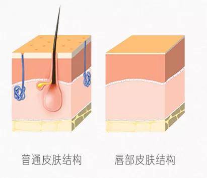 嘴皮Skincare｜唇纹离家出走后，我拥有了Q弹果冻唇~