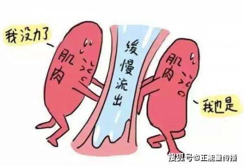 肾脏|肾功受损,身体知道!肾衰竭的6个早期症状,或是都被你忽视了