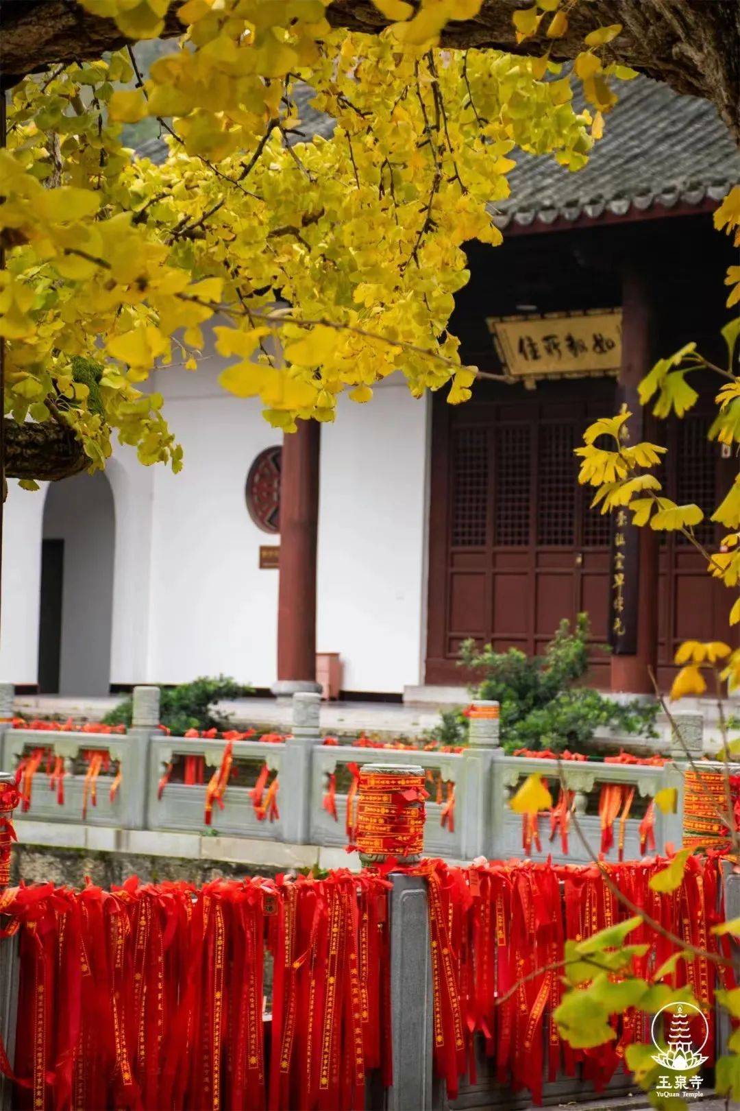 都可能成为惊鸿一瞥每个不经意间远眺冬日奇秀的峡江美景亦可登上至