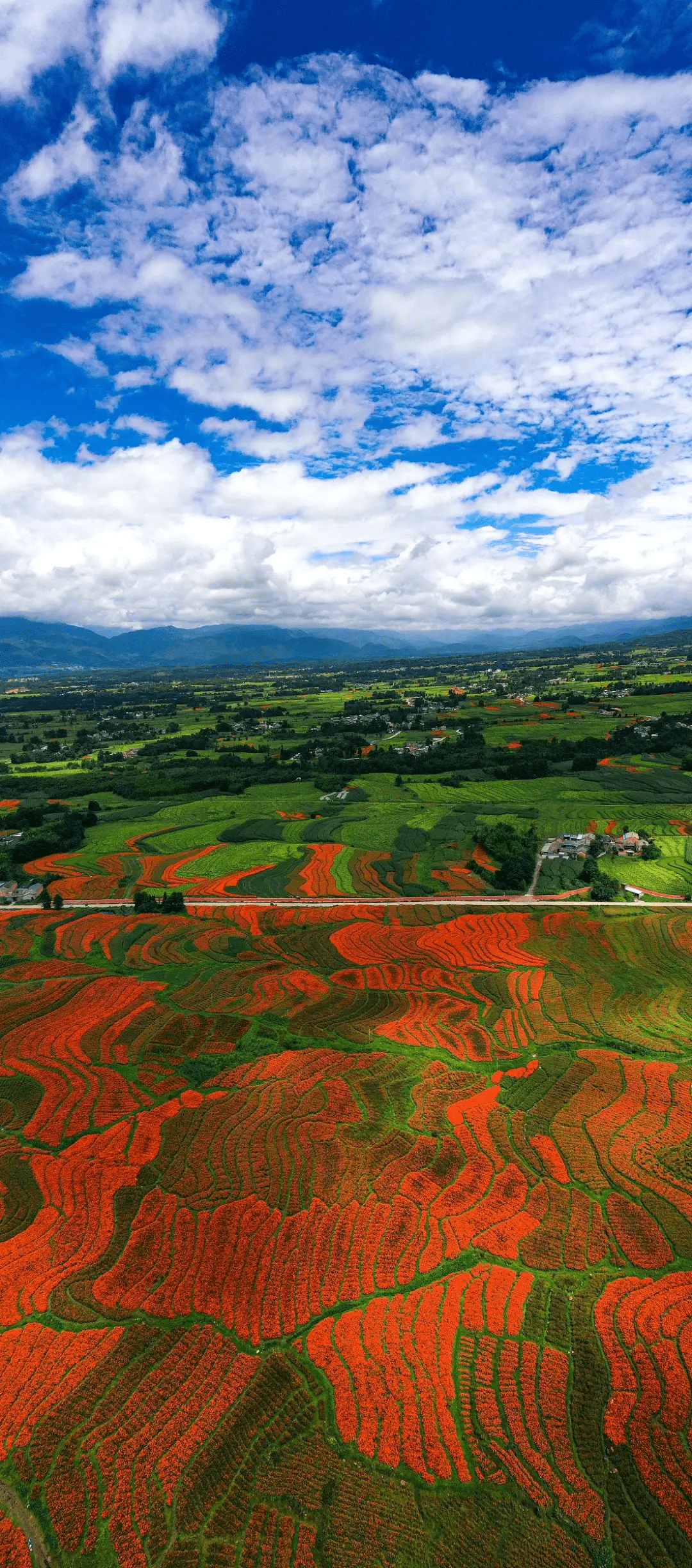 火山|看火山、泡温泉、赏银杏……在腾冲遇见云南醉美的冬天