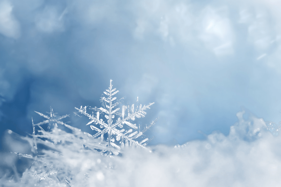 肾气|小雪养生重在暖